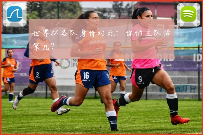 世界杯各队身价对比：你的主队排第几？