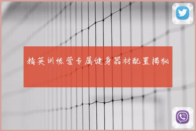 精英训练营专属健身器材配置揭秘