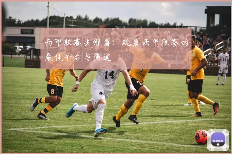 西甲联赛去哪看:观看西甲联赛的最佳平台与渠道