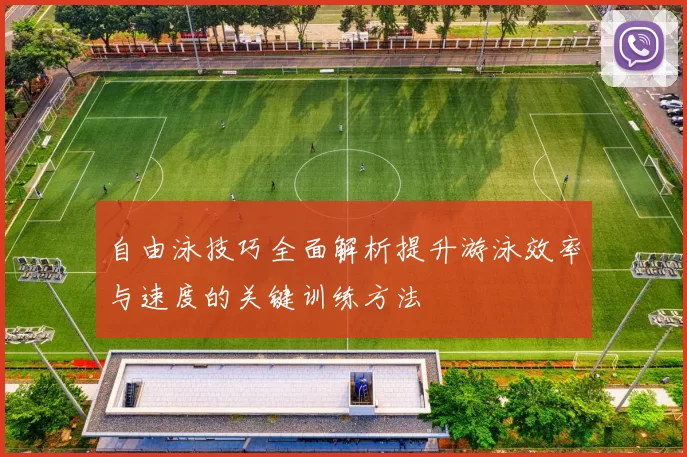自由泳技巧全面解析提升游泳效率与速度的关键训练方法