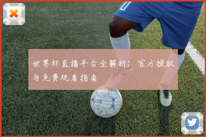 世界杯直播平台全解析：官方授权与免费观看指南