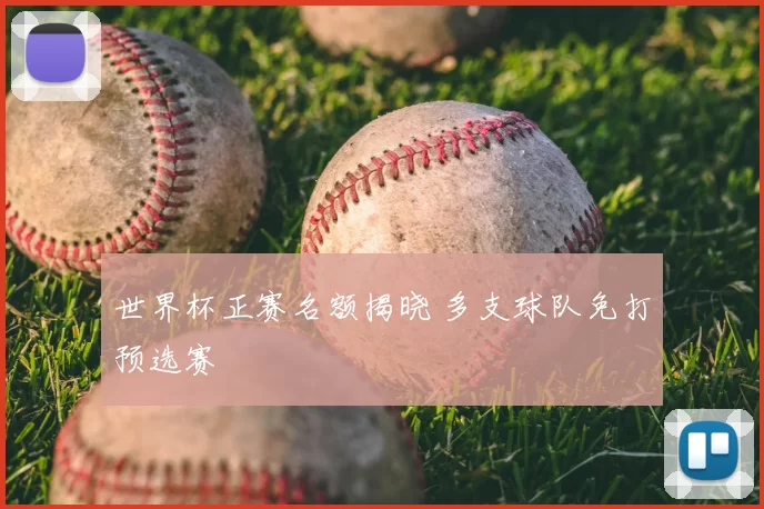 世界杯正赛名额揭晓 多支球队免打预选赛