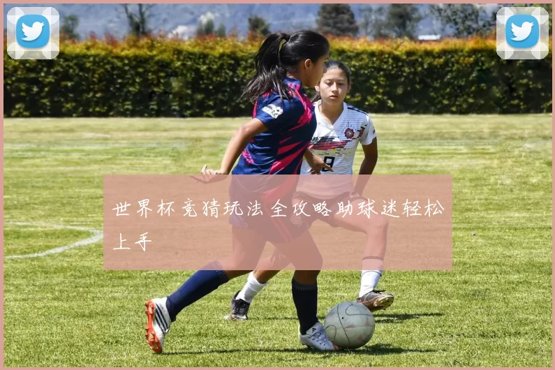 世界杯竞猜玩法全攻略助球迷轻松上手