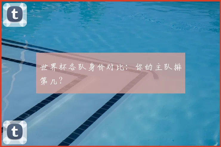 世界杯各队身价对比：你的主队排第几？