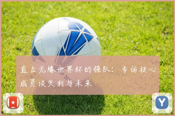 直击无缘世界杯的强队：专访核心成员谈失利与未来