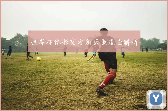 世界杯体彩官方购买渠道全解析