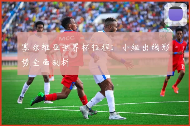 塞尔维亚世界杯征程:小组出线形势全面剖析