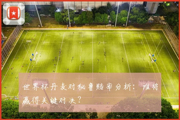 世界杯丹麦对秘鲁赔率分析：谁将赢得关键对决？