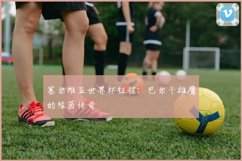 塞尔维亚世界杯征程:巴尔干雄鹰的绿茵传奇