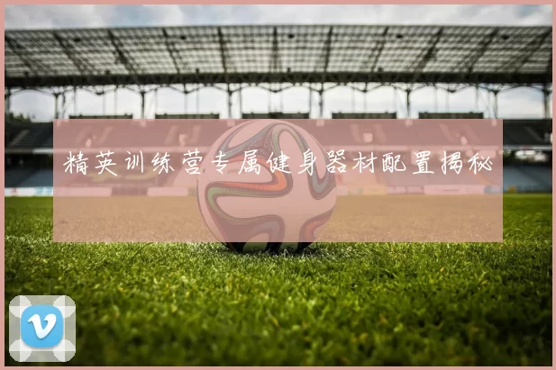 精英训练营专属健身器材配置揭秘