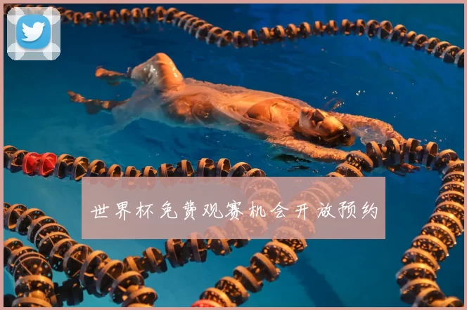 世界杯免费观赛机会开放预约