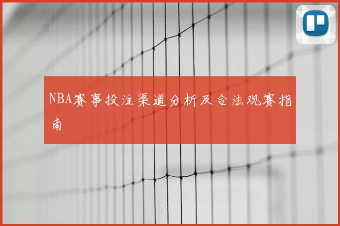 NBA赛事投注渠道分析及合法观赛指南