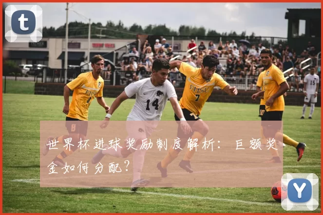 世界杯进球奖励制度解析：巨额奖金如何分配？